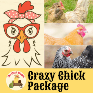 Crazy Chick Package (Females)